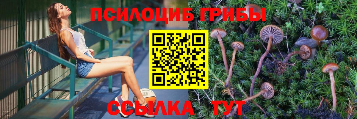 Псилоцибиновые грибы GOLDEN TEACHER  Галлюциногенные грибы мухоморы  Тимашёвск  Вход с VPN 