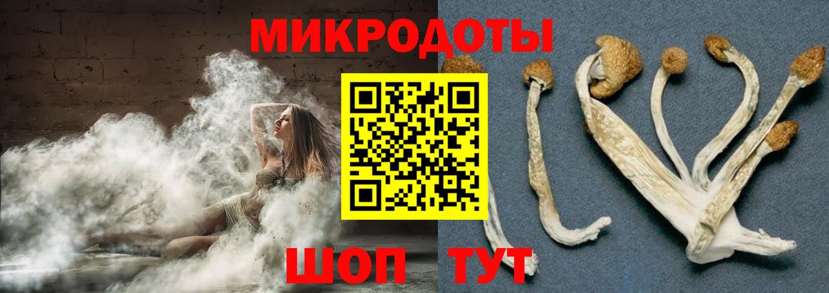 Галлюциногенные грибы мицелий Тимашёвск