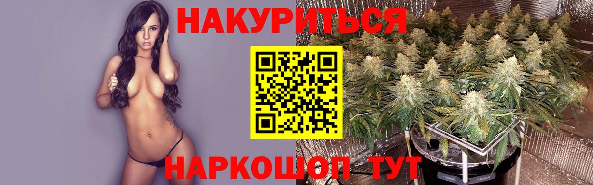 МАРИХУАНА Ganja Тимашёвск